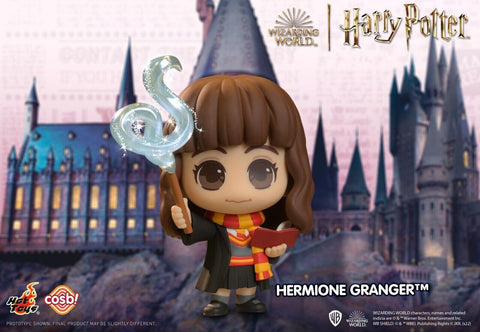 Hermione Granger Hot Toys Harry Potter Cosbi Collection Opened Blind Box Art Toy