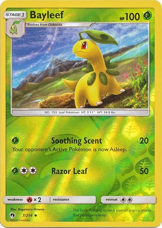 Bayleef 7/214 Uncommon Reverse Holo Foil - Pokemon Card - SM - Lost Thunder