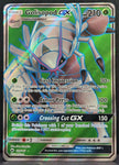 Pokemon Card Golisopod GX 129/147 Ultra Rare Full Art Burning Shadows SM